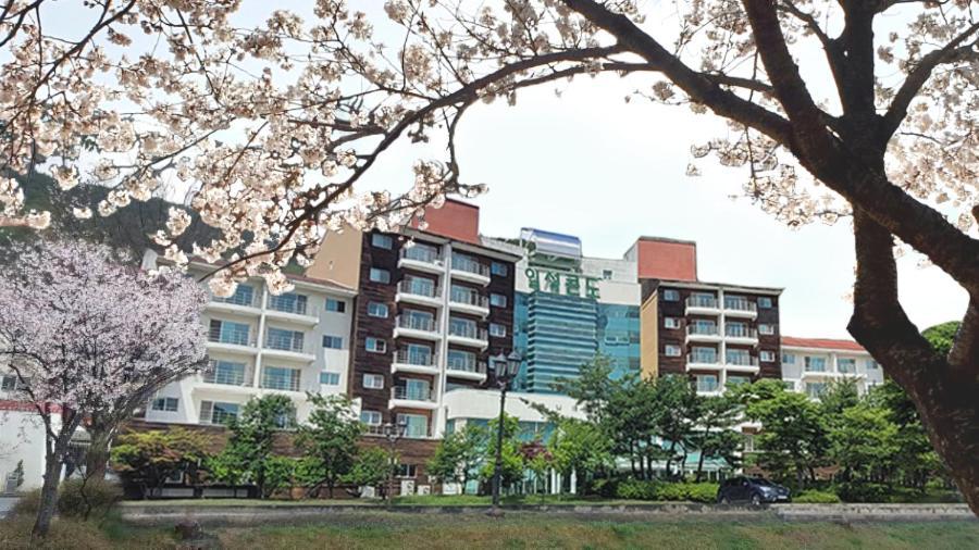 Muju Ilsung Condo Екстериор снимка